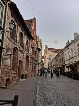 Апартаменты The Old town apartment 307 by URBAN RENT Вильнюс Апартаменты с 1 спальней-16