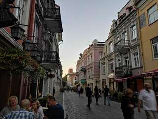 Апартаменты The Old town apartment 307 by URBAN RENT Вильнюс Апартаменты с 1 спальней-17